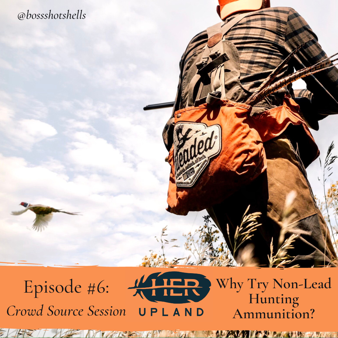 #6|Why Try Non-Lead Hunting Ammunition?