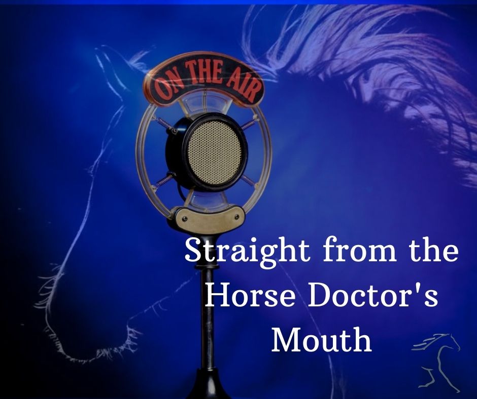 Straight from the Horse Doctor\'s Mouth