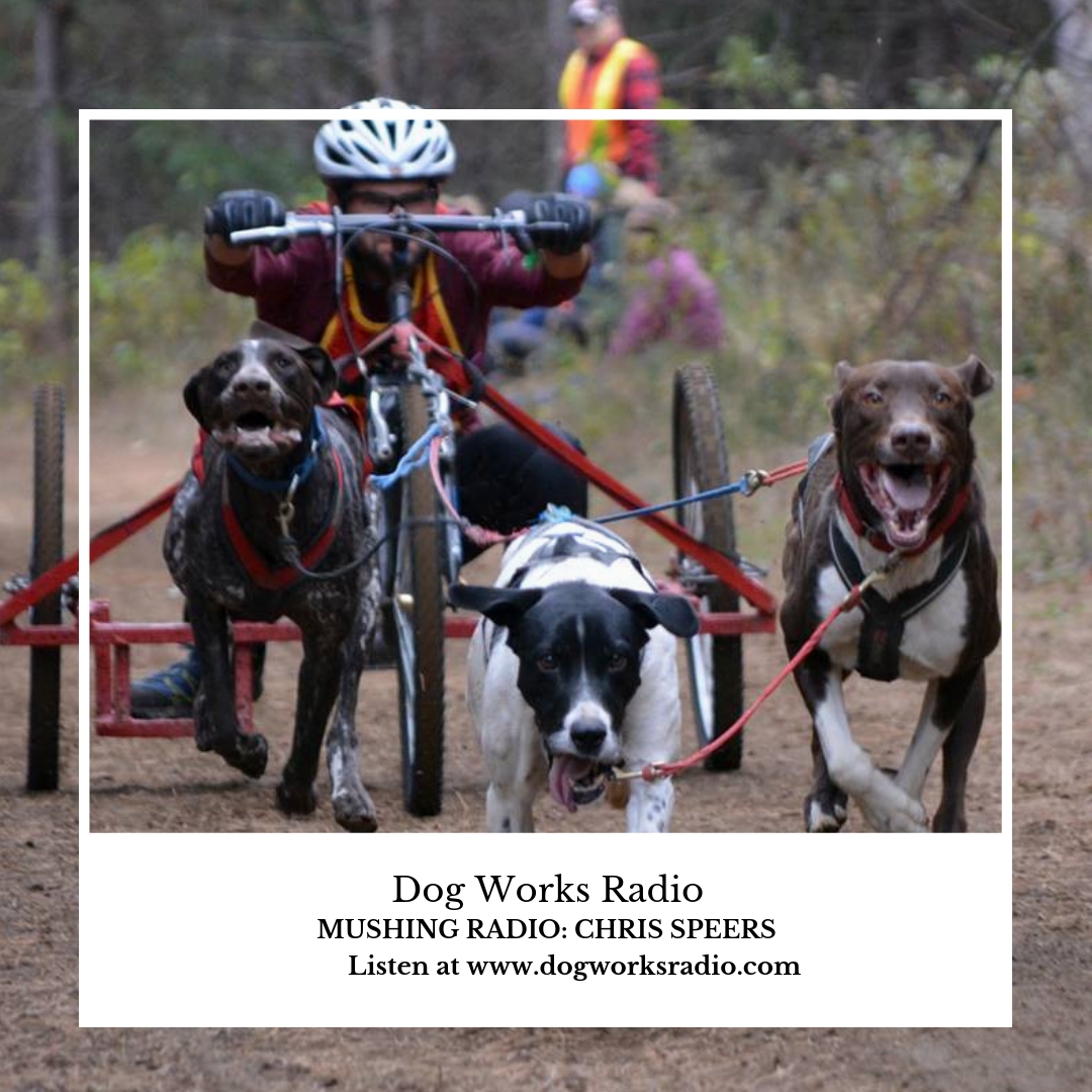 Mushing Radio Chris Speers