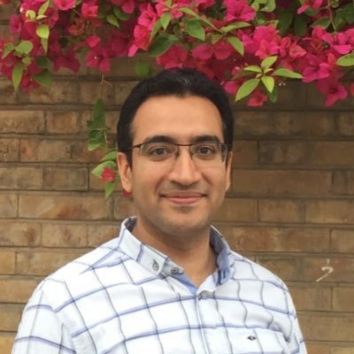 Visual Cortex Contex –Pouya Bashivan, Postdoctoral Associate, MIT, Department of Brain and Cognitive Sciences – Brain Activity & Advanced Visual Recognition