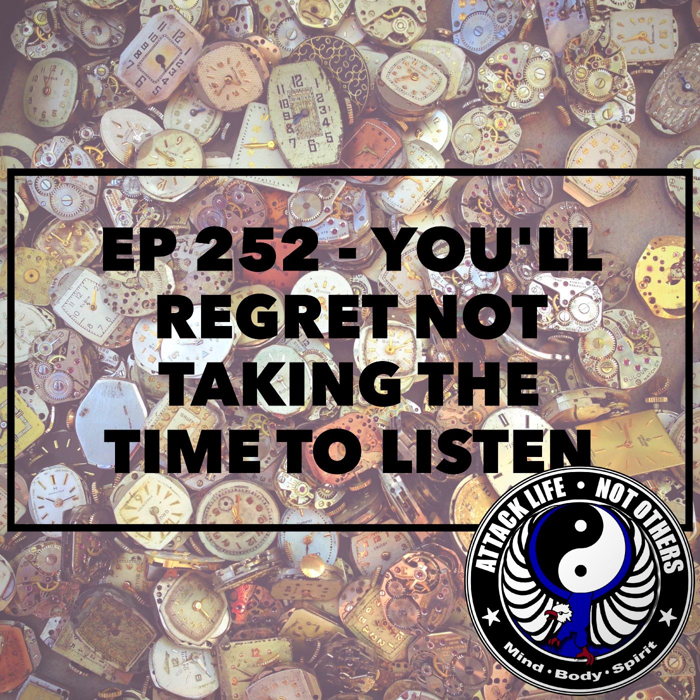 Ep 252 - You'll Regret Not Taking the Time to Listen