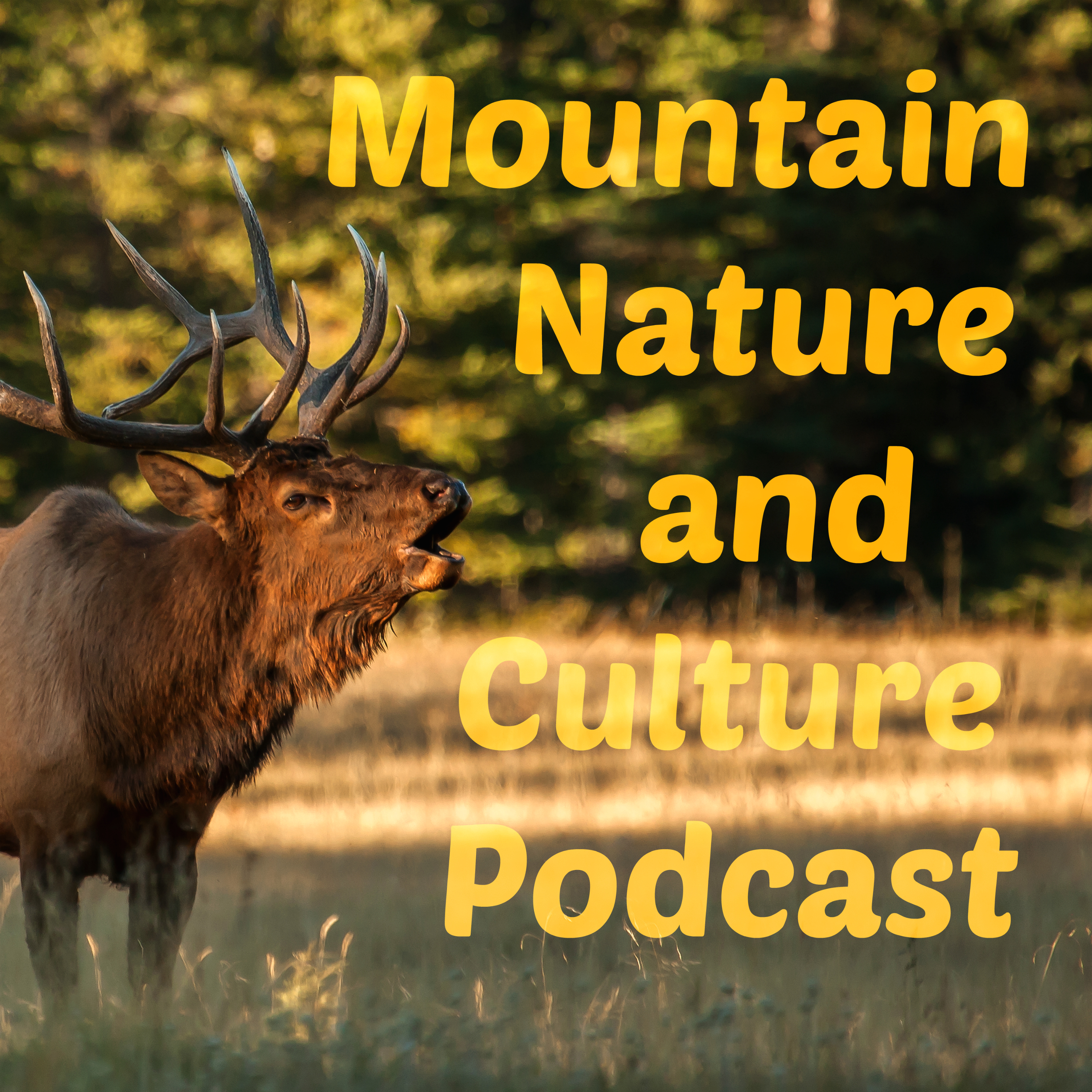 070 Polar bears and climate change denial, Alberta's mountains see the highest temperature increases, and did European contact in the New World cause the Little Ice Age