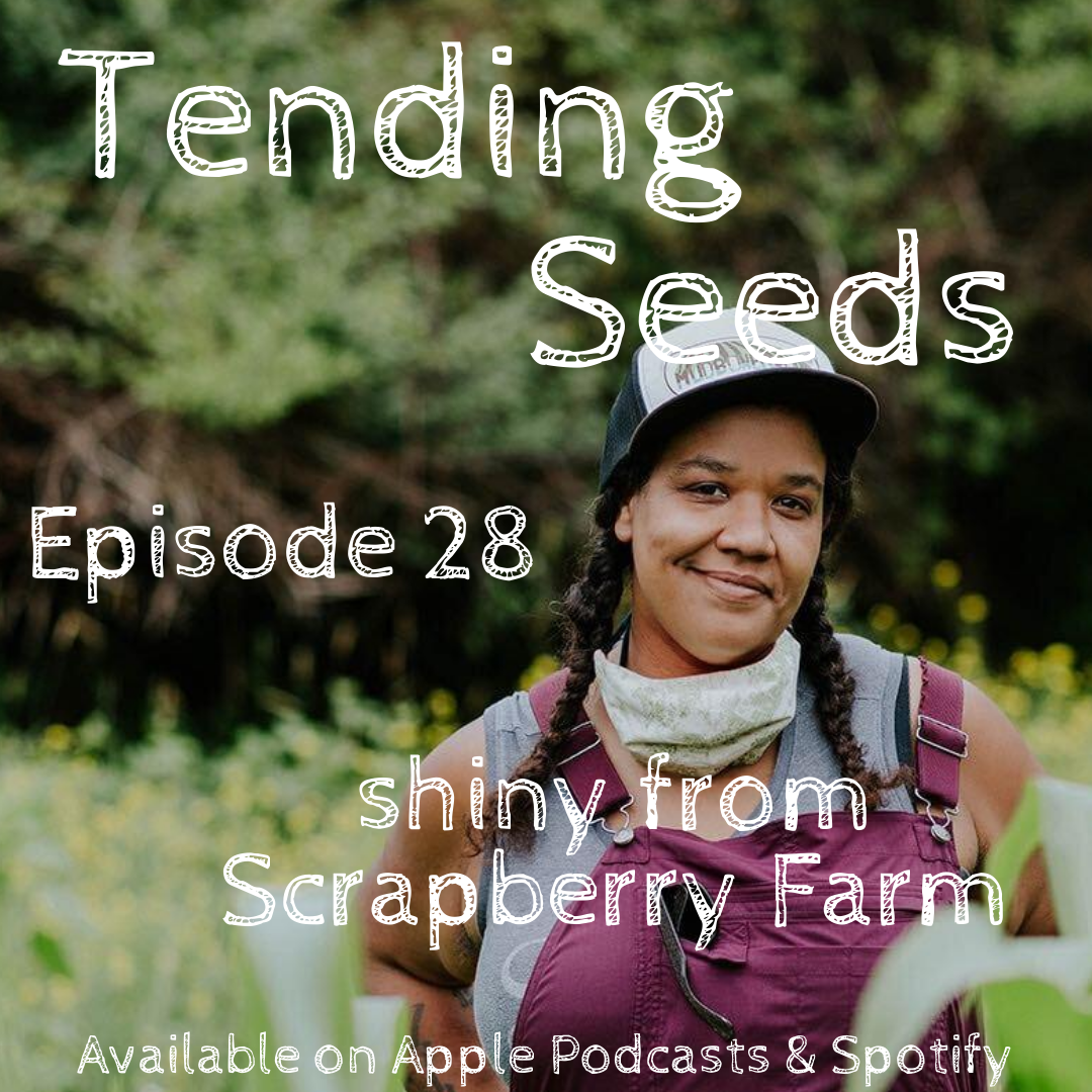 Tending Seeds: Adventures in Gardening, Homesteading, and Herbalism