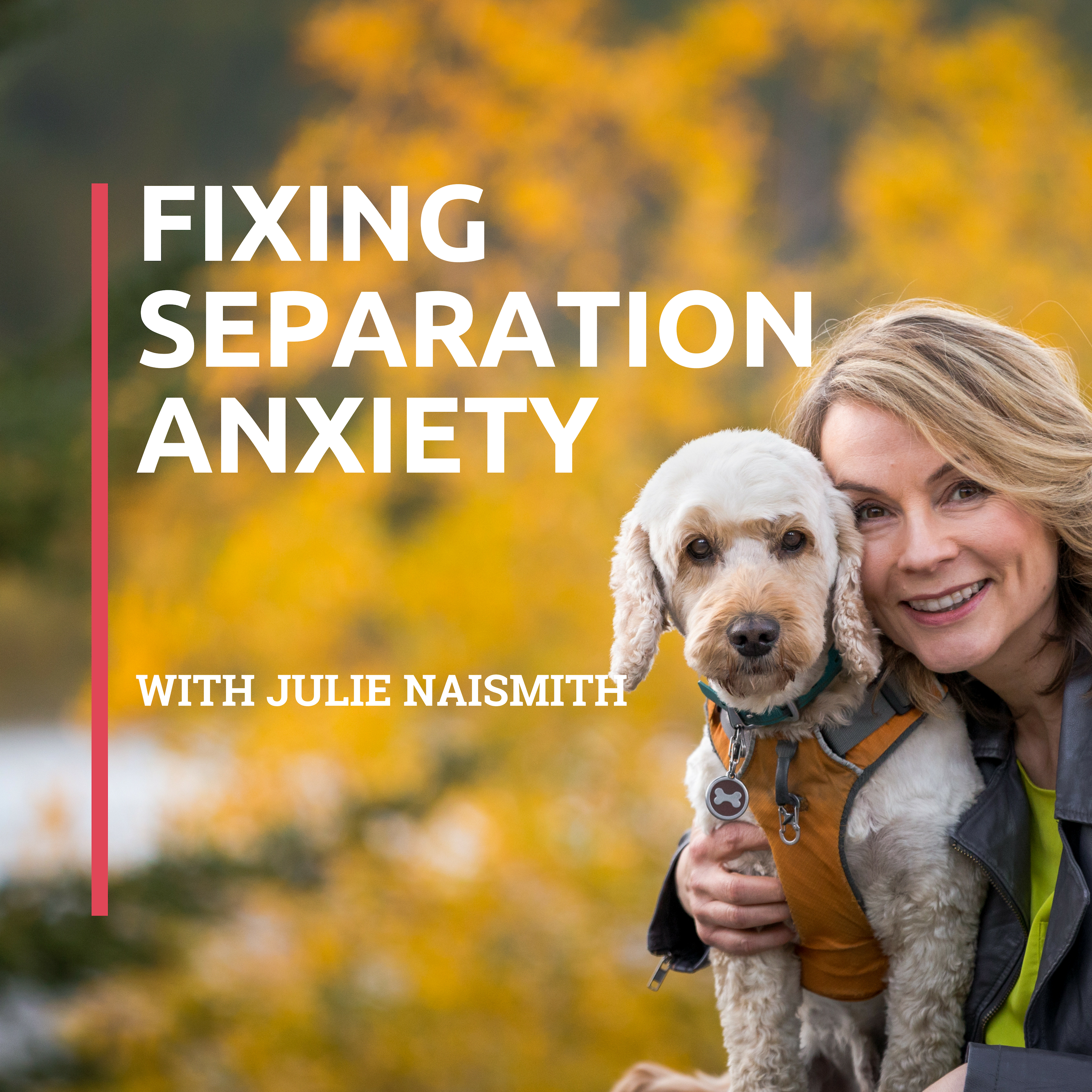 Be Right Back! The Separation Anxiety Podcast