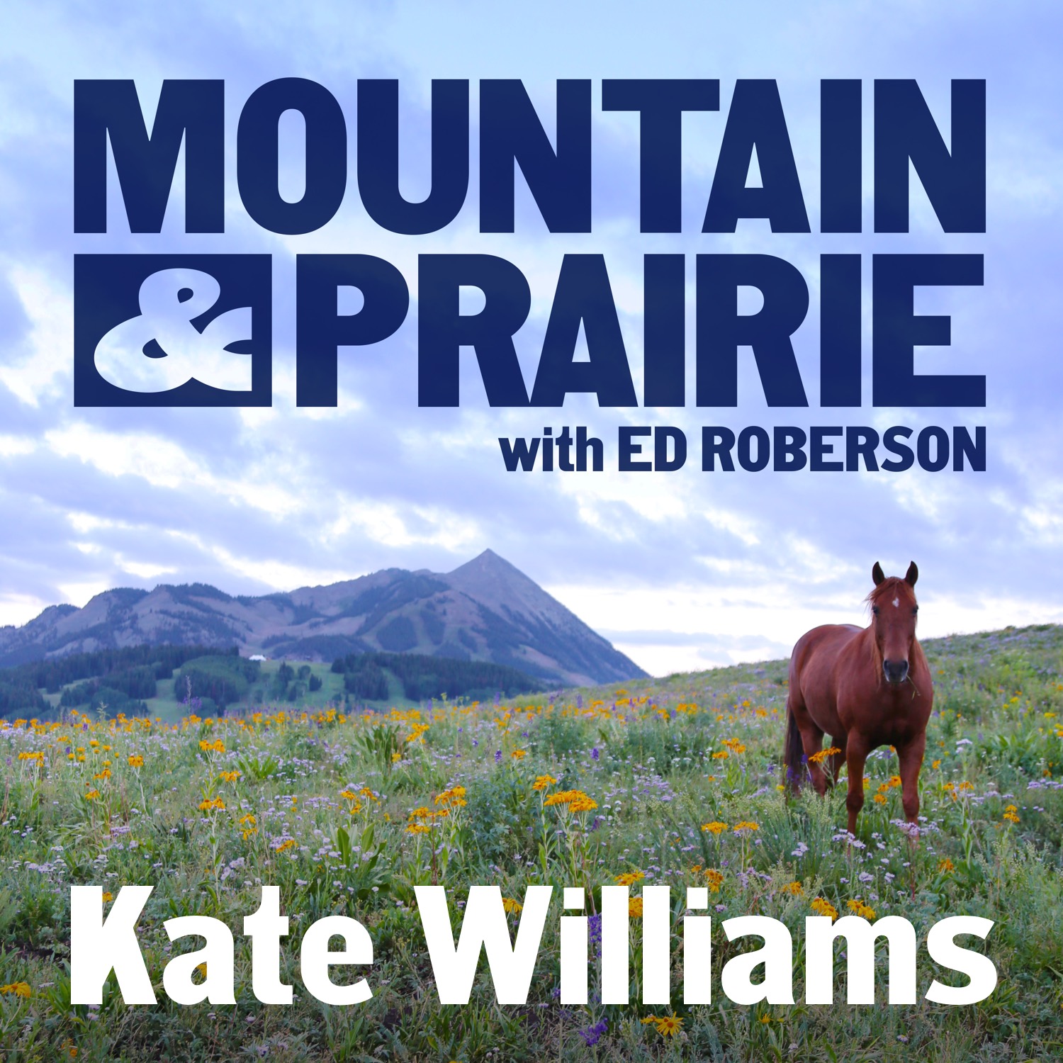 Mountain & Prairie with Ed Roberson
