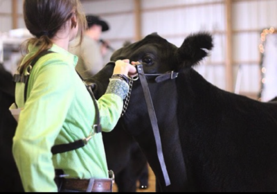 Off-Farm Income