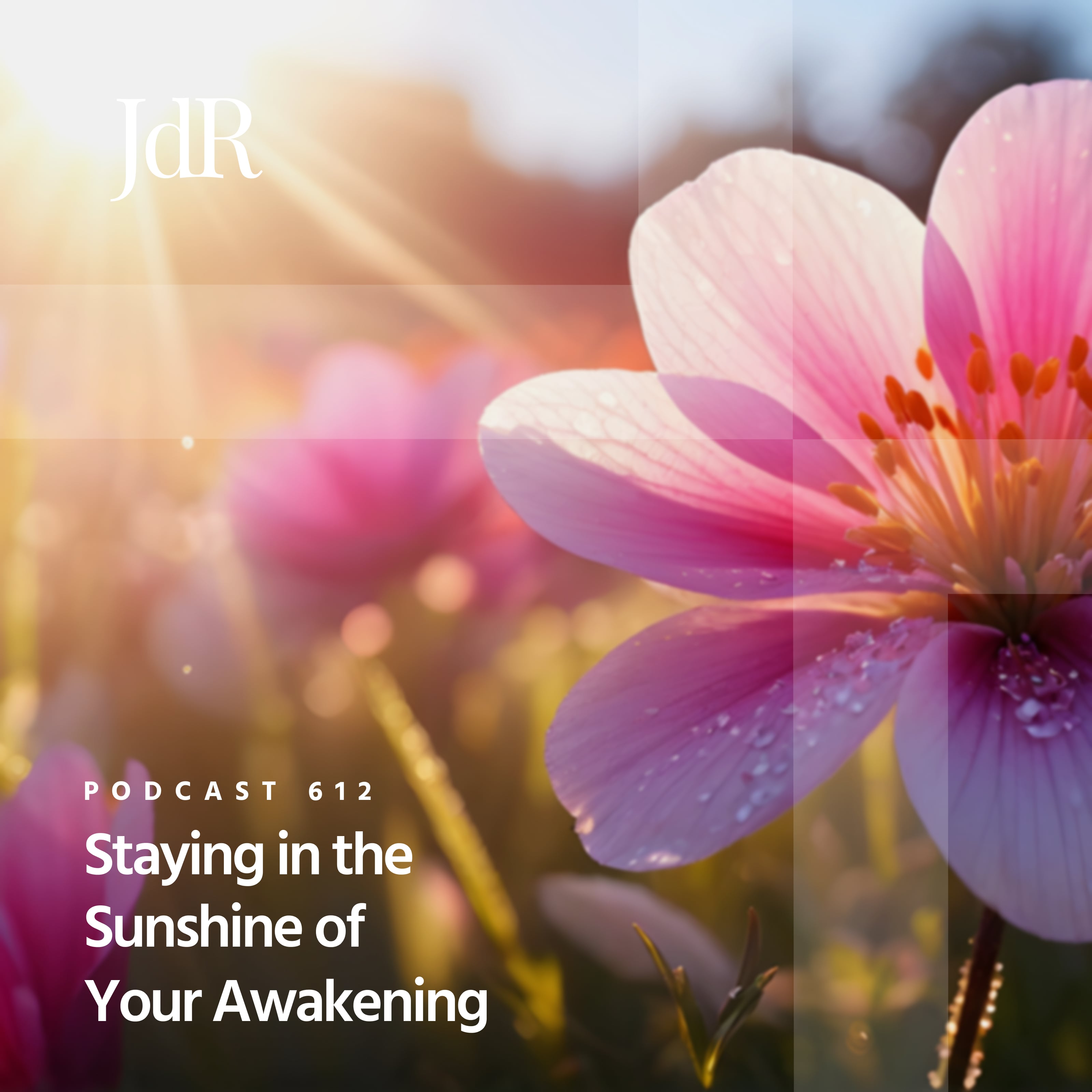 JdR Podcast 612 - Staying in the Sunshine of Your Awakening