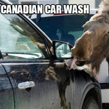 05.16.21: Using Detailer for Ideal Detailing & Other Car Care Crap - Don't Freeze the Chemicals (But Fear the Chamois), Microfiber Matters, Chemical Combos, Armor-All Syndrome, Some Thoughts on Gas Cans & Storage, + Turbo Swaps, Bowie & Contagion