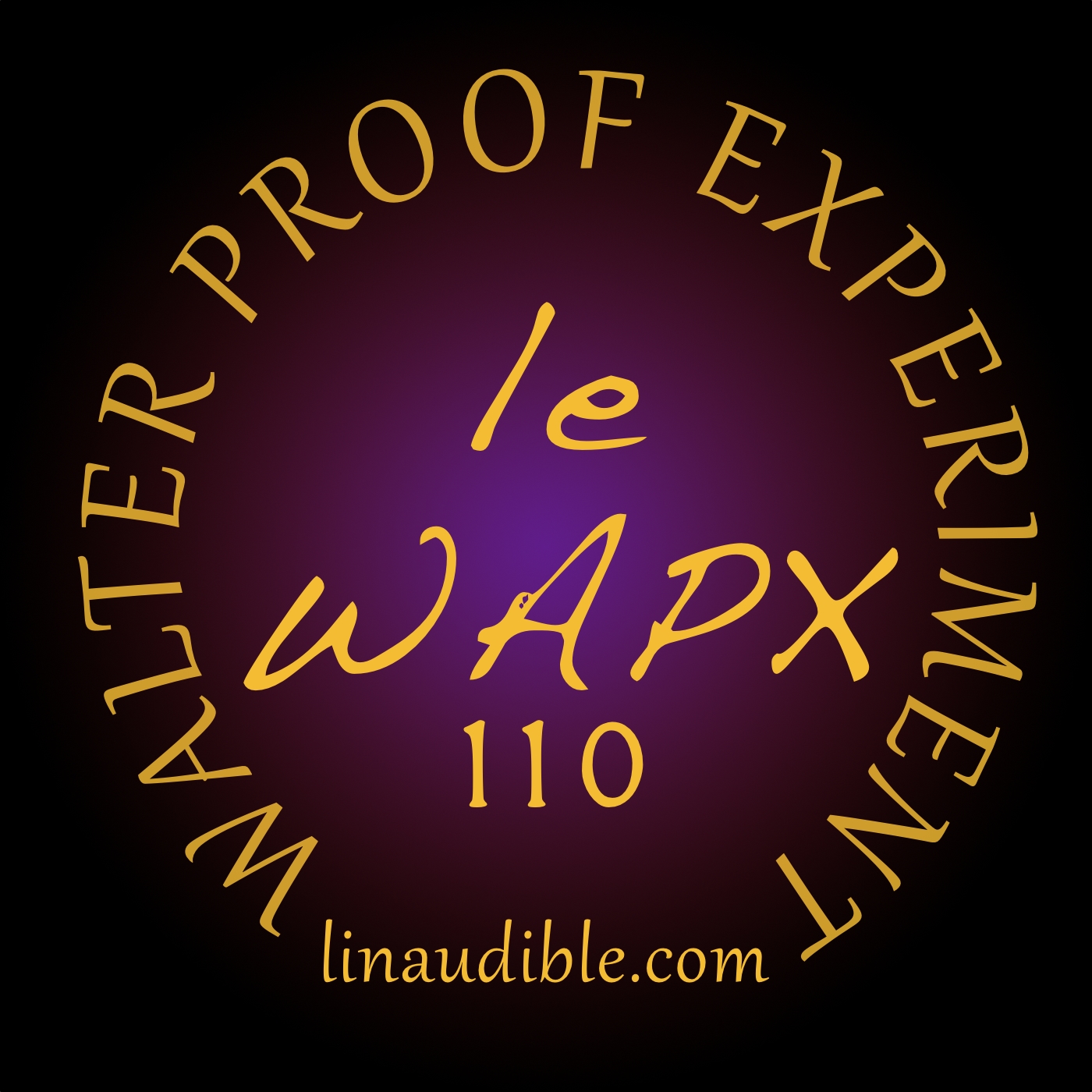 L\'Inaudible de Walter