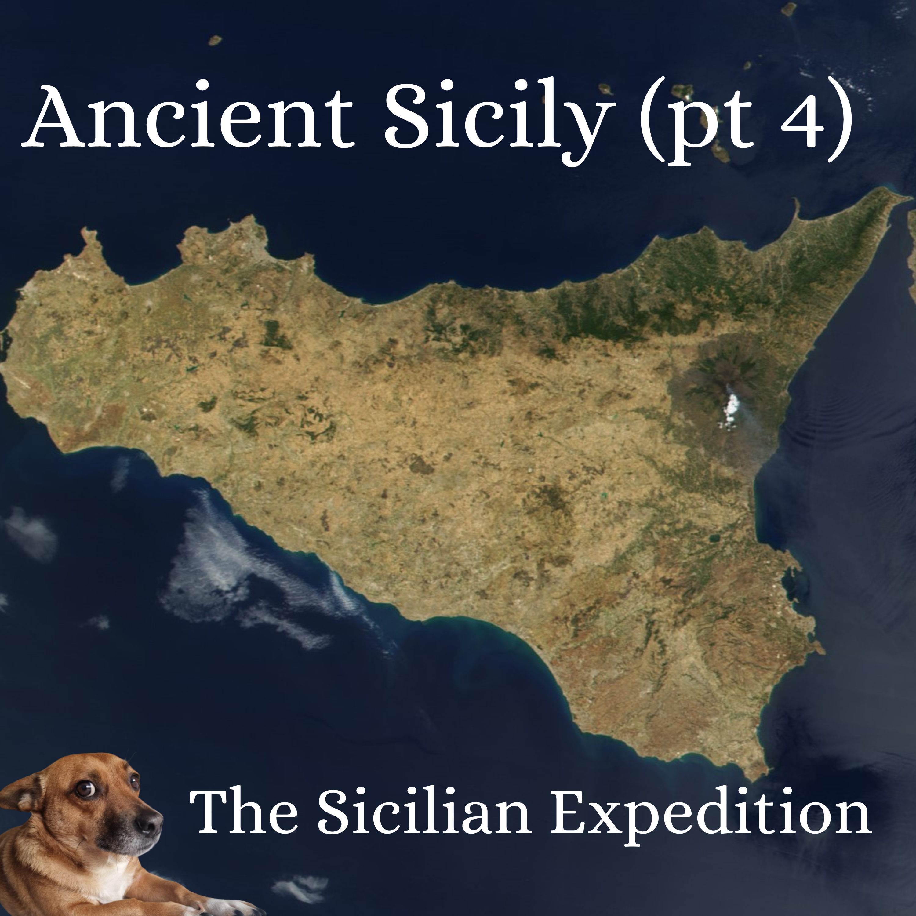 Ancient History Hound