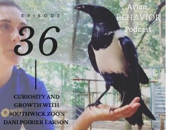 The Avian Behavior Podcast
