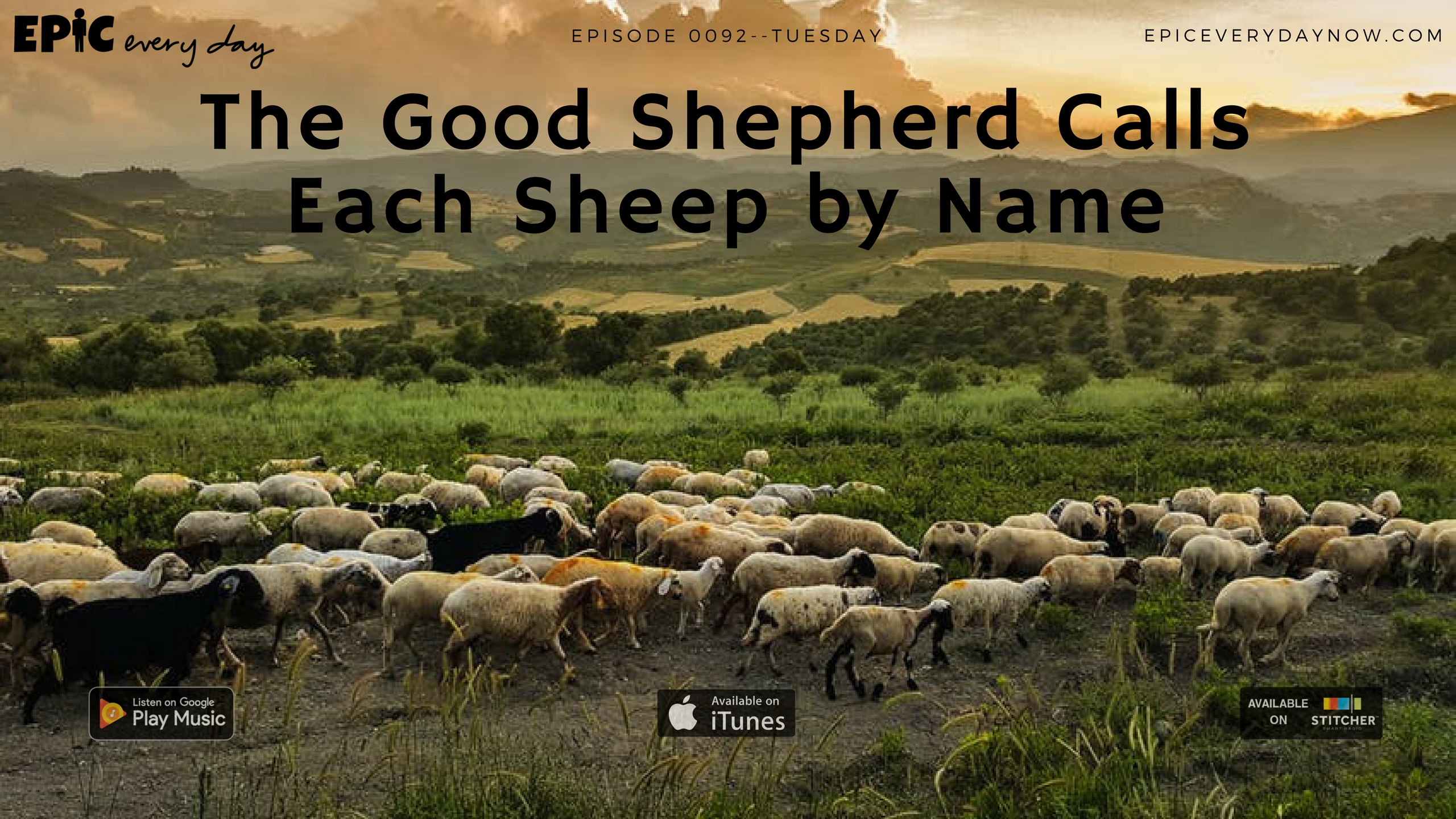 The Good Shepherd Calls Each Sheep by Name