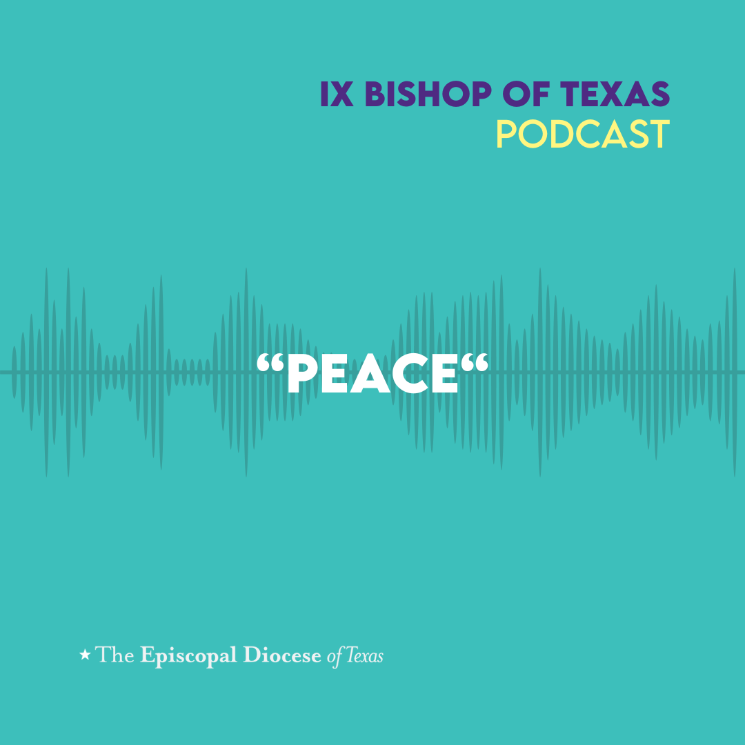 Ninth Bishop of Texas