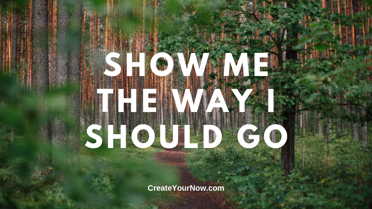 1674 Show Me the Way I Should Go