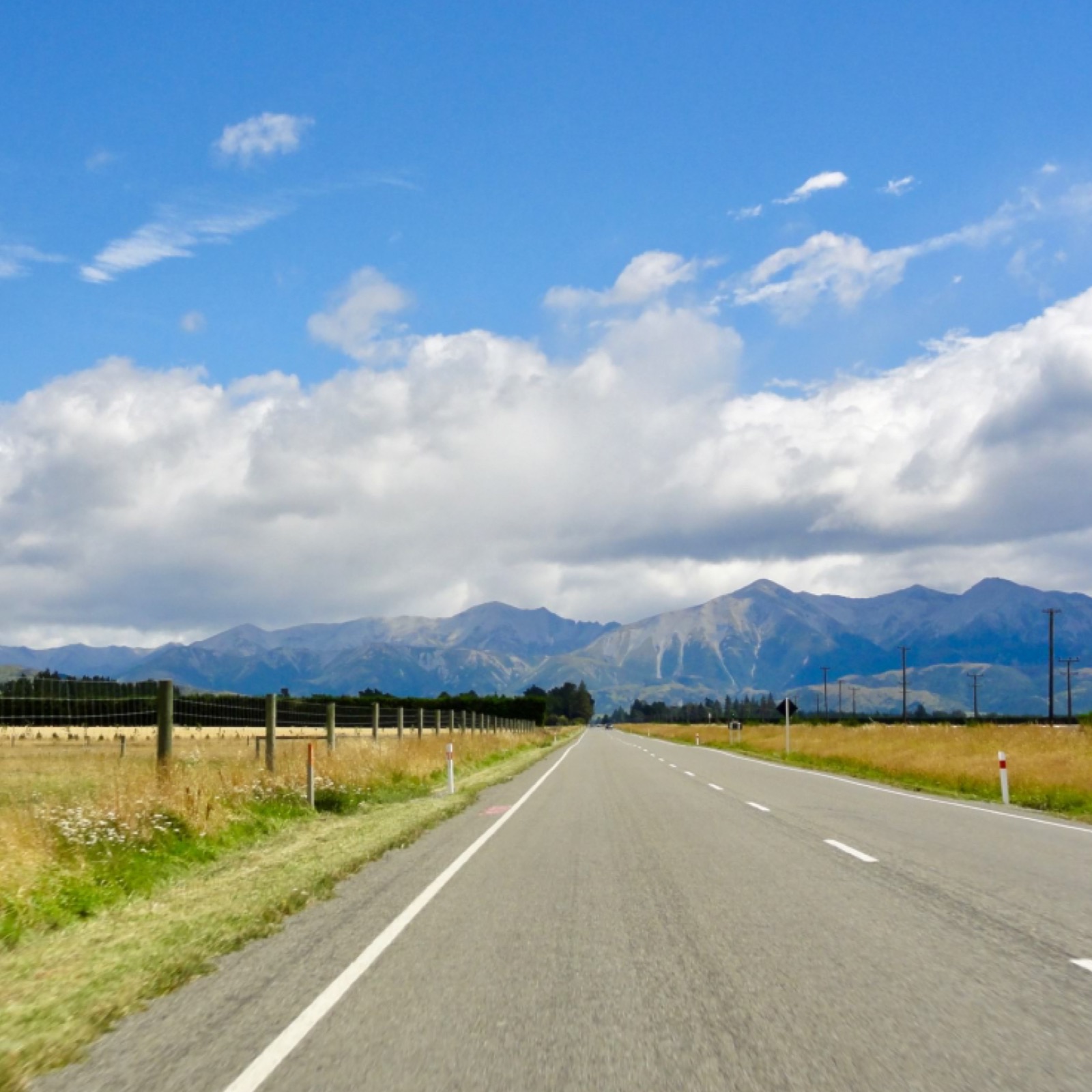 cover of episode How to get around New Zealand podcast