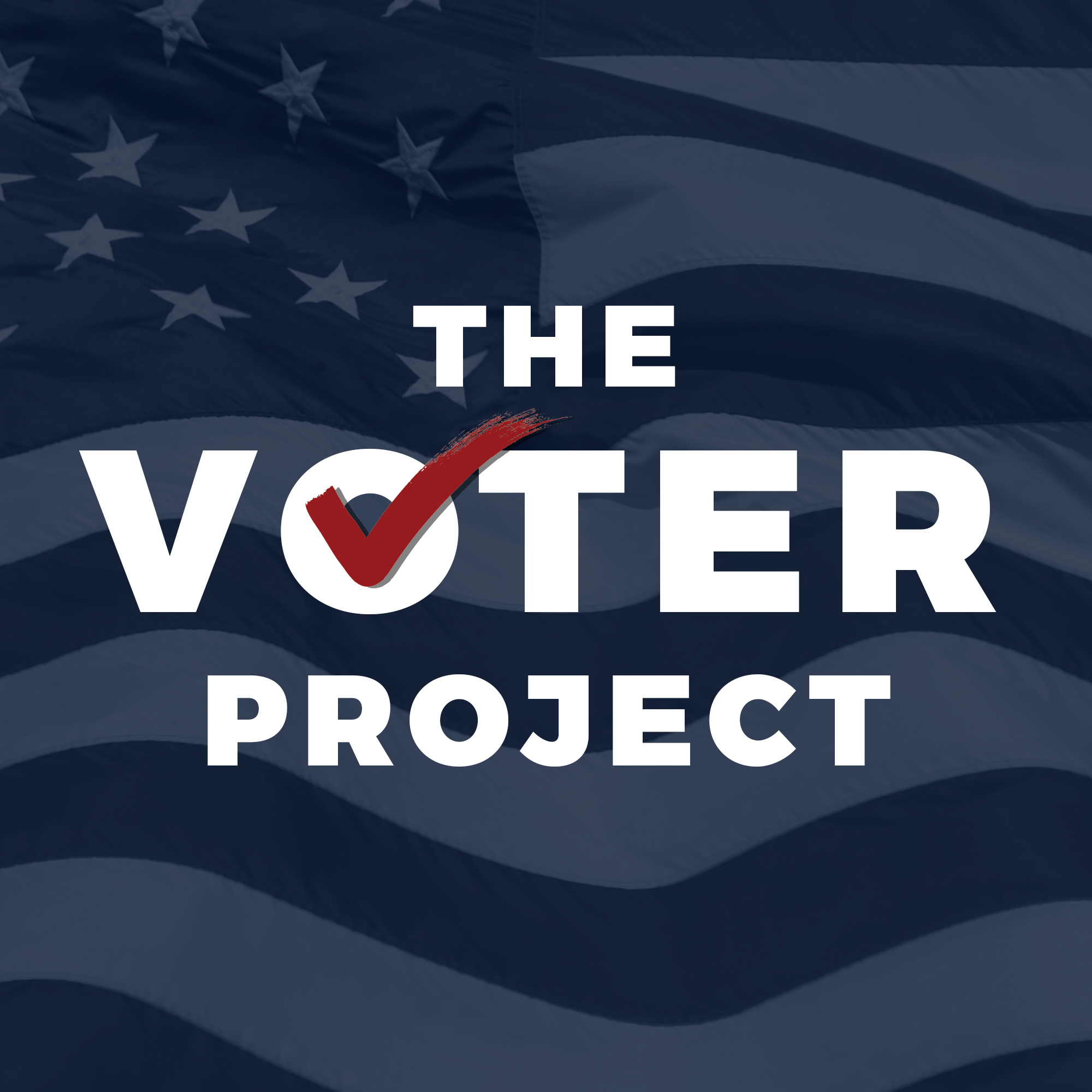 The Voter Project - Sharing Stories from Voters in Congressional Districts Across America