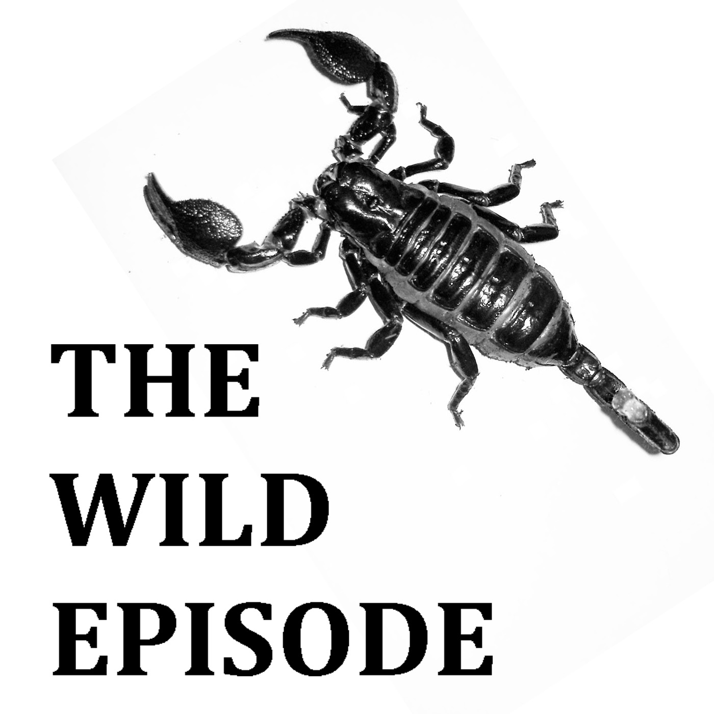 The Wild Episode