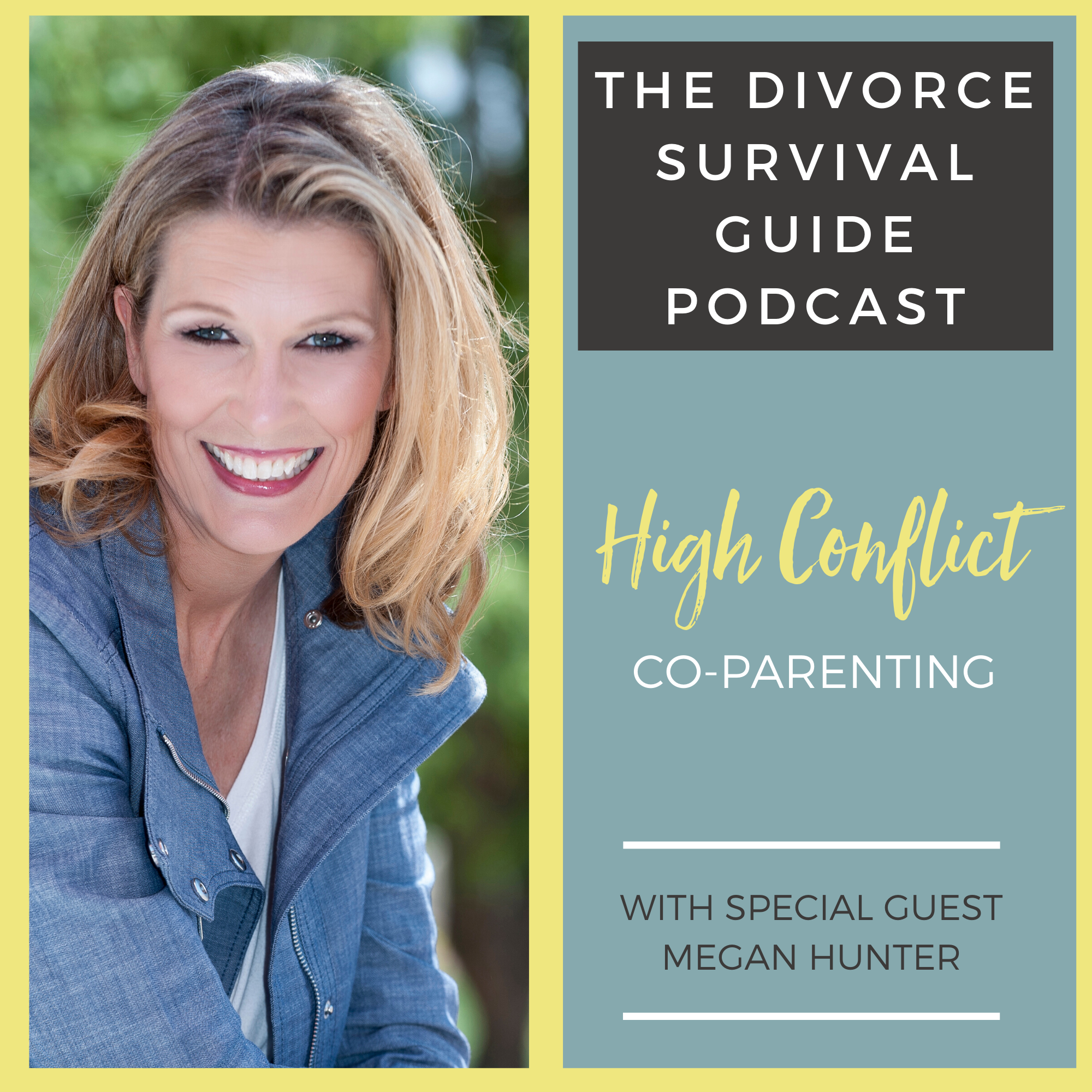 The Divorce Survival Guide Podcast