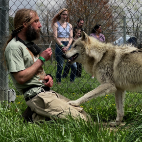 A Journey Into Wolf Park with Ryan Talbot [Episode 270]