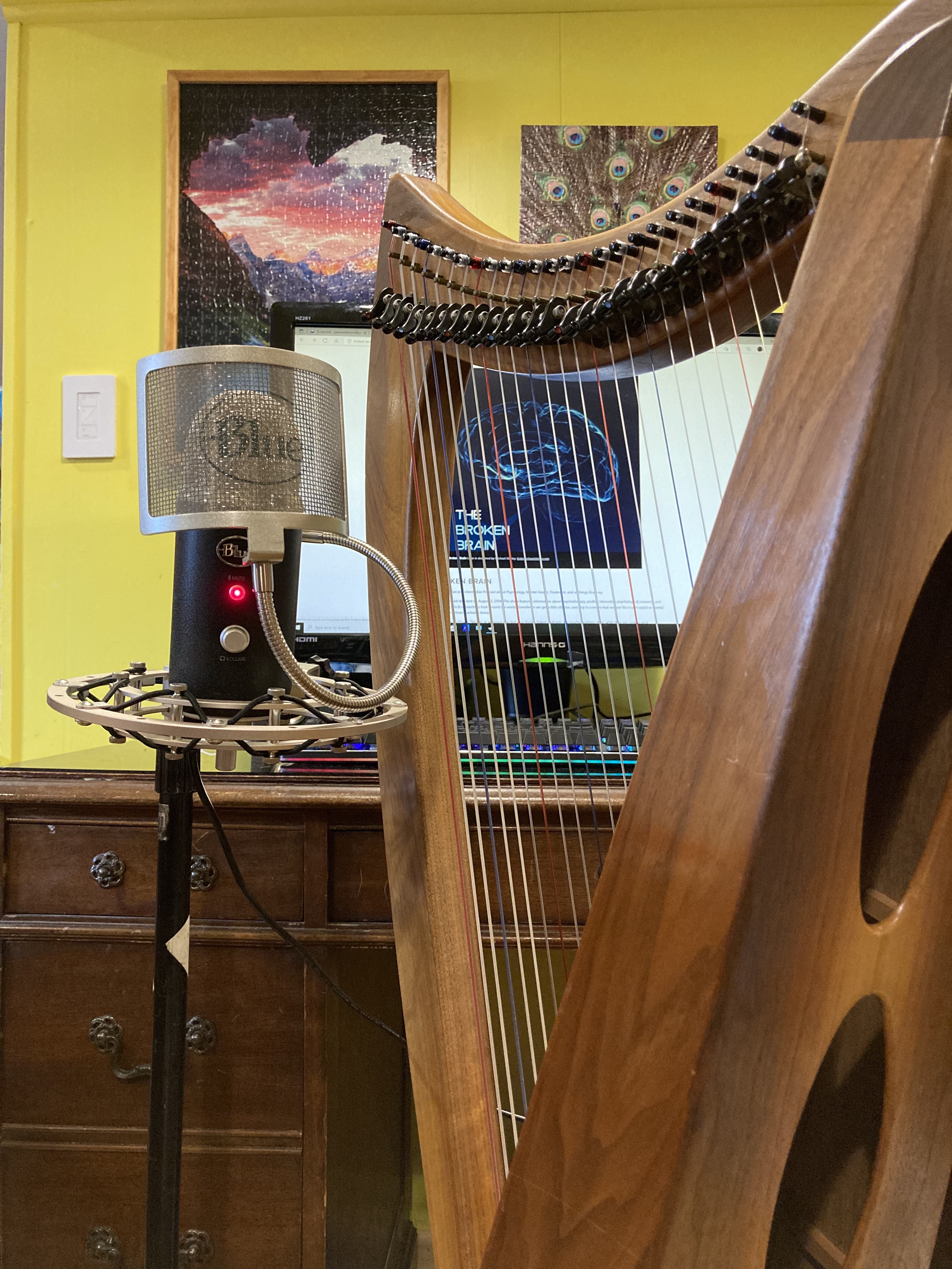 Music Thanatology & End of Life Care with Tony Pederson