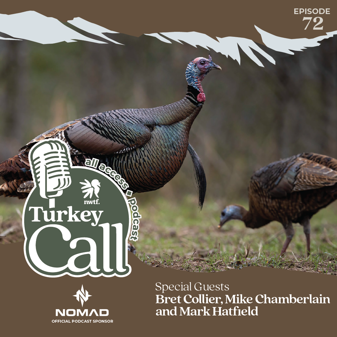 Turkey Call All Access