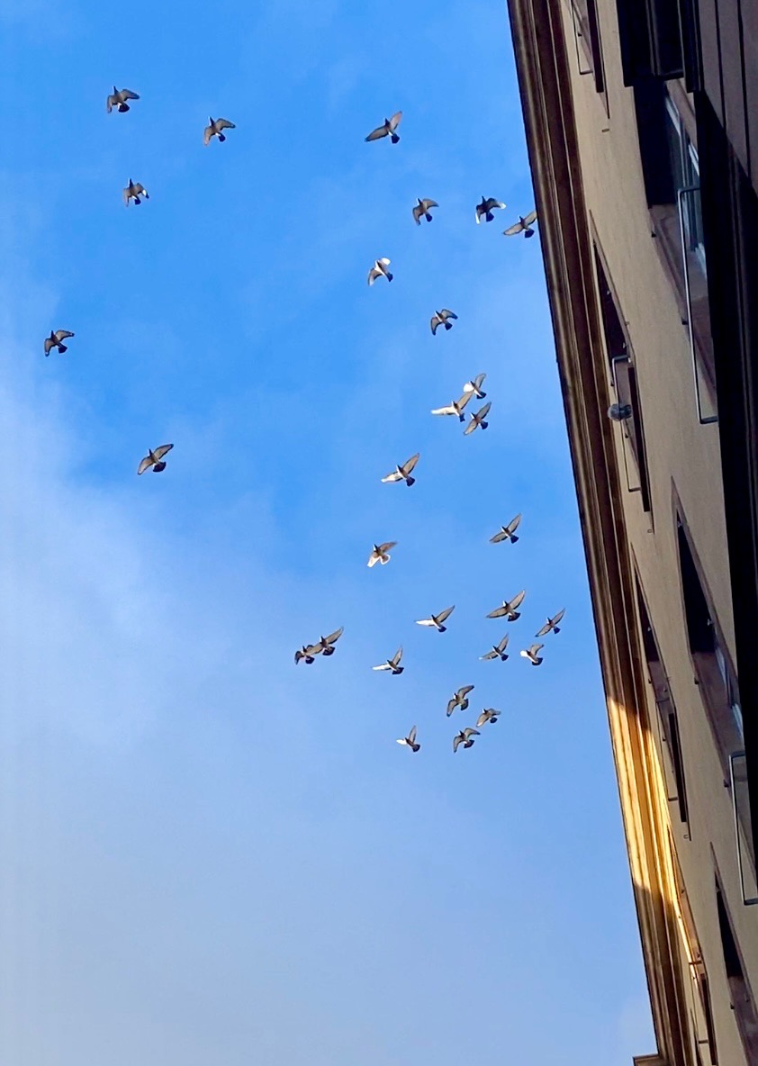 EP 256  Digging Deep, Clearing Out