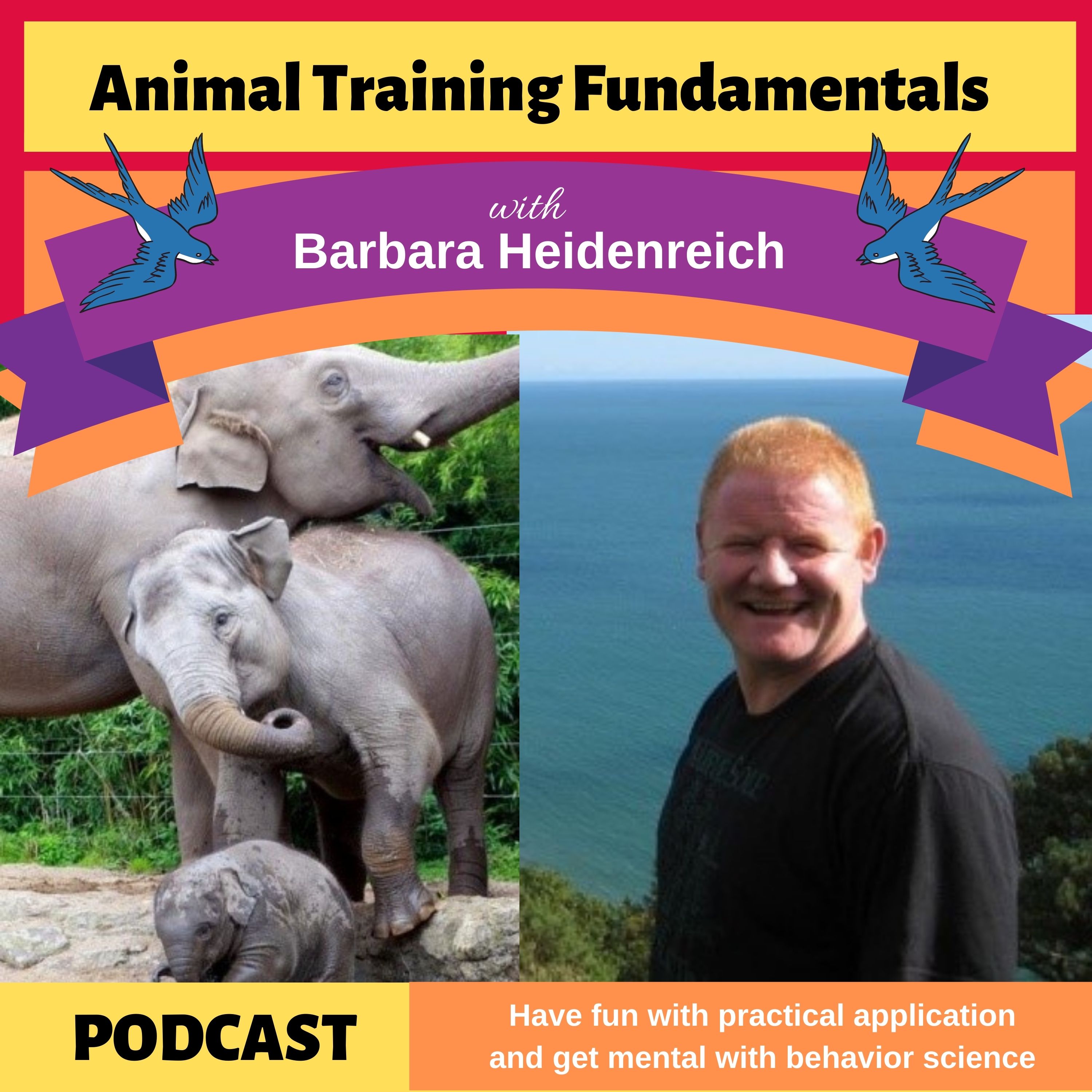 21- Elevating Elephant Programs with Gerry Creighton