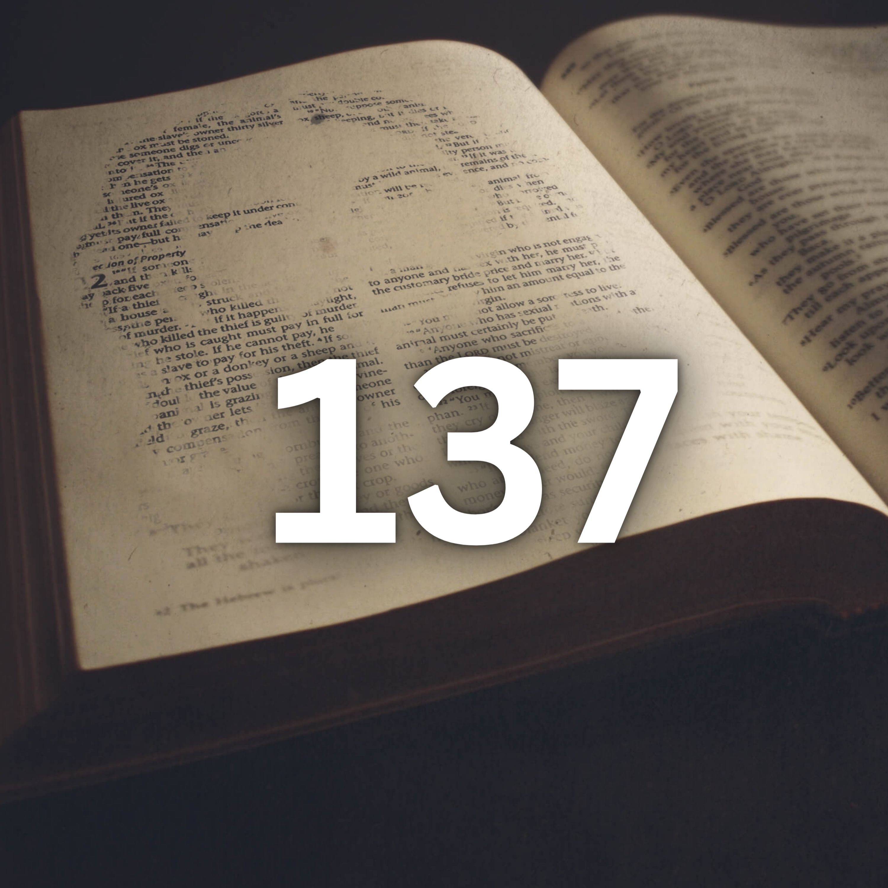 Walking With The Word | The Bible In 365