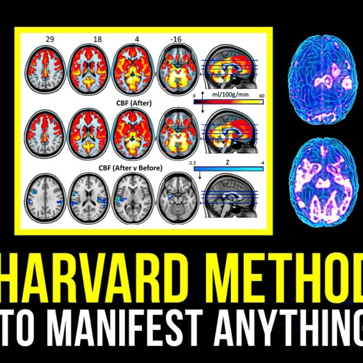 Once You Train Your Brain, You'll Manifest Whatever You Desire Once You Train Your Brain, You'll Manifest Whatever You Desire