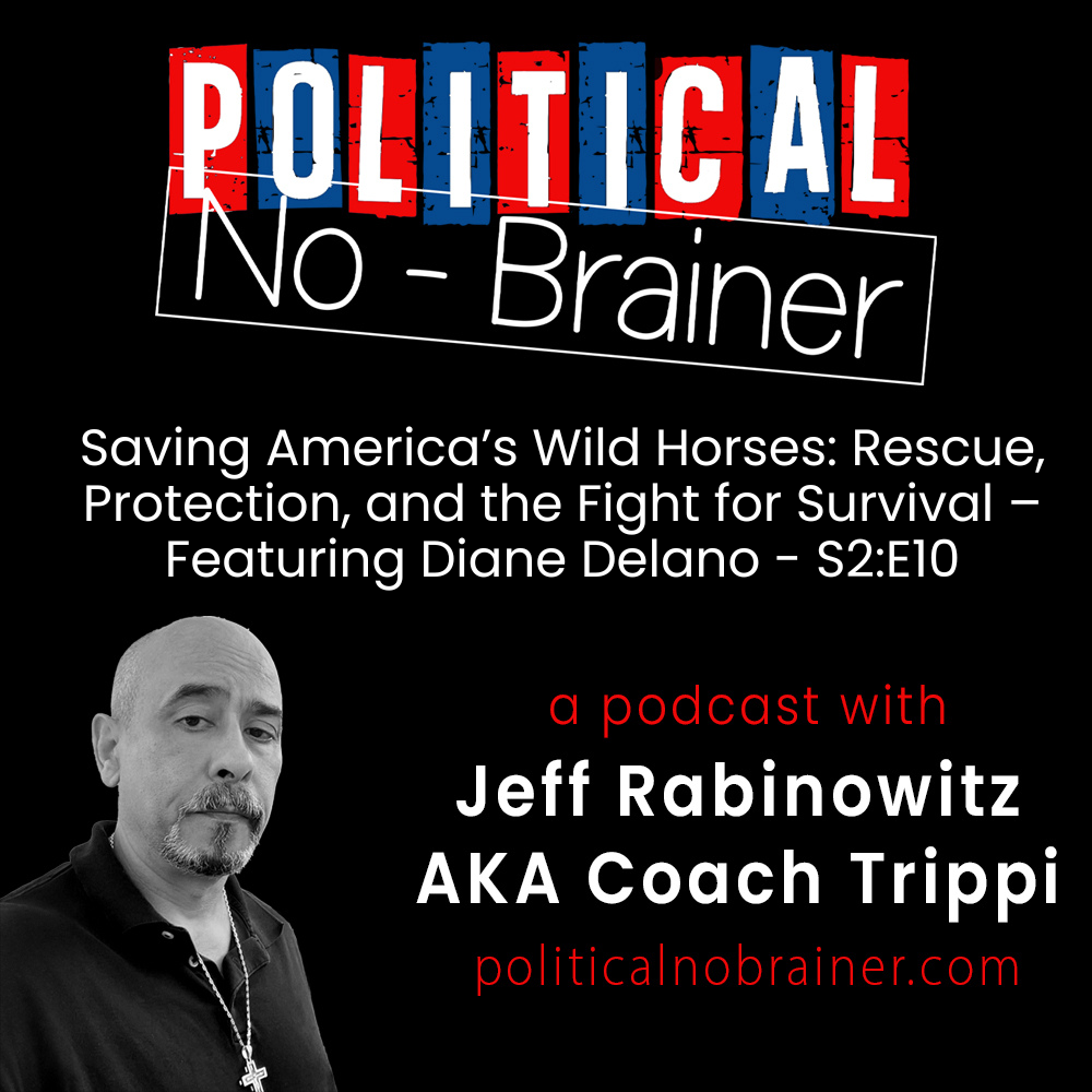 Political No-Brainer Podcast