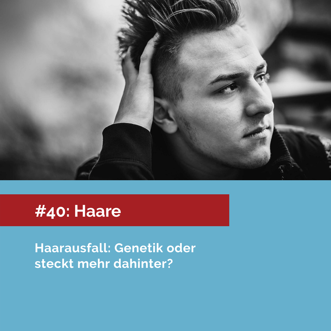 Wunderwelt Körper