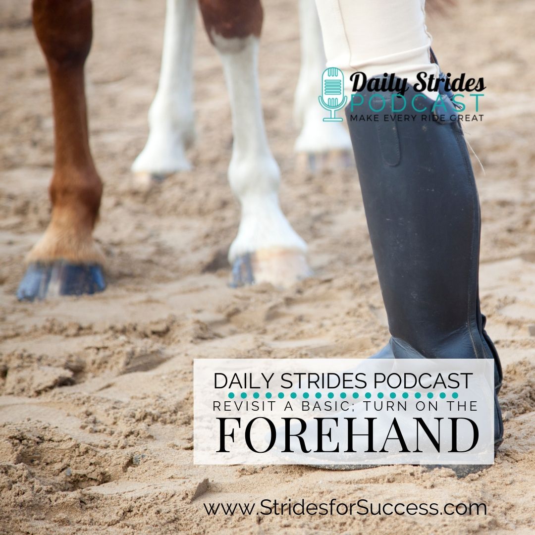 [Encore] Strides Revisited: Turn on the Forehand; A Basic to Revisit This Week (Originally Ep #1162)