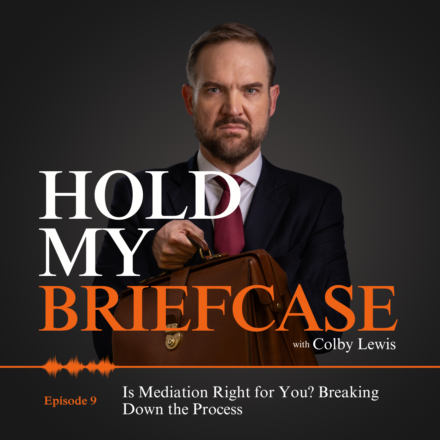 Hold My Briefcase: The Legal Lowdown for Everyday People