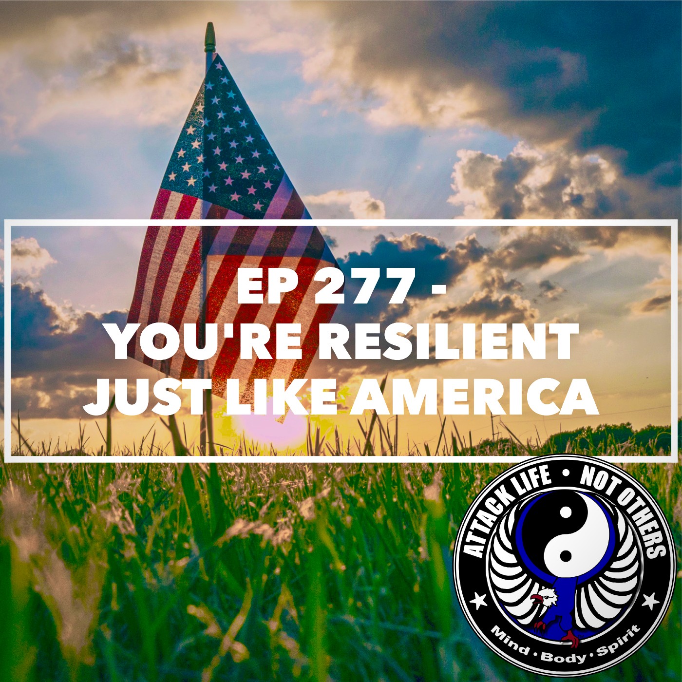 Ep 277 - You're Resilient Just Like America