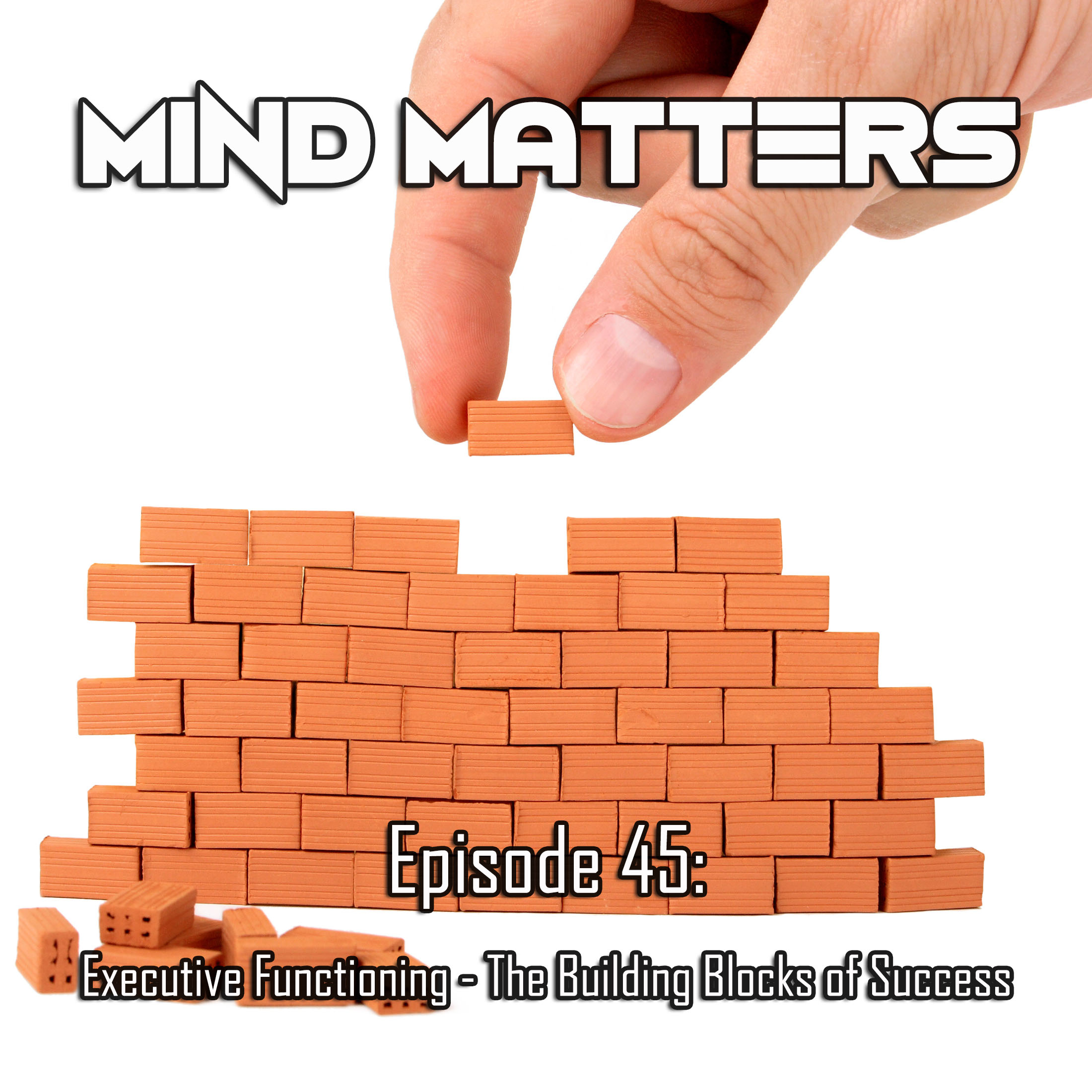 cover of episode Executive Functioning - The Building Blocks of Success