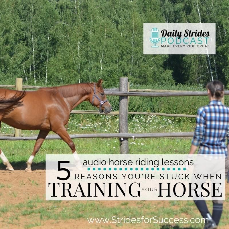 5 Reasons You’re Stuck when Training or Retraining Your Horse