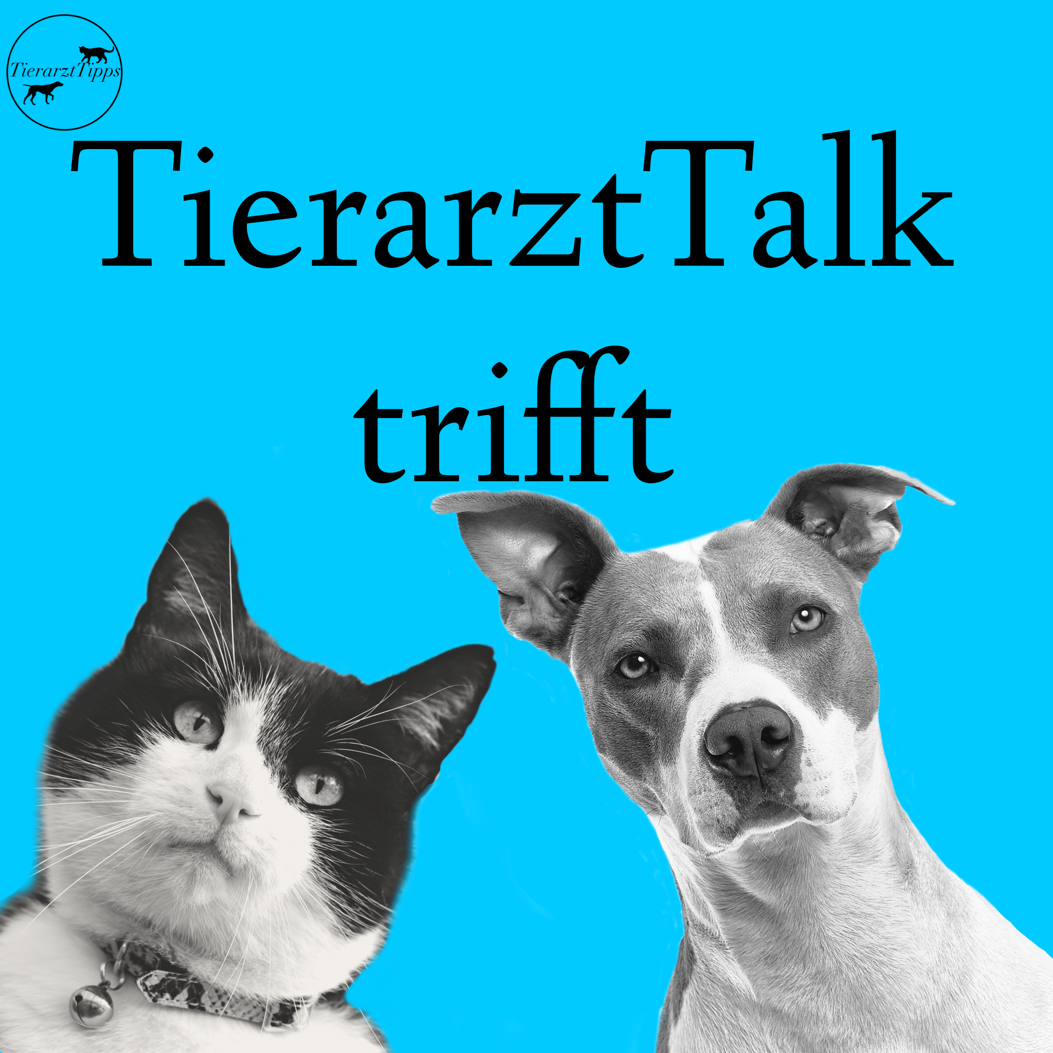 Tierarzt Talk - die Podcast Sprechstunde