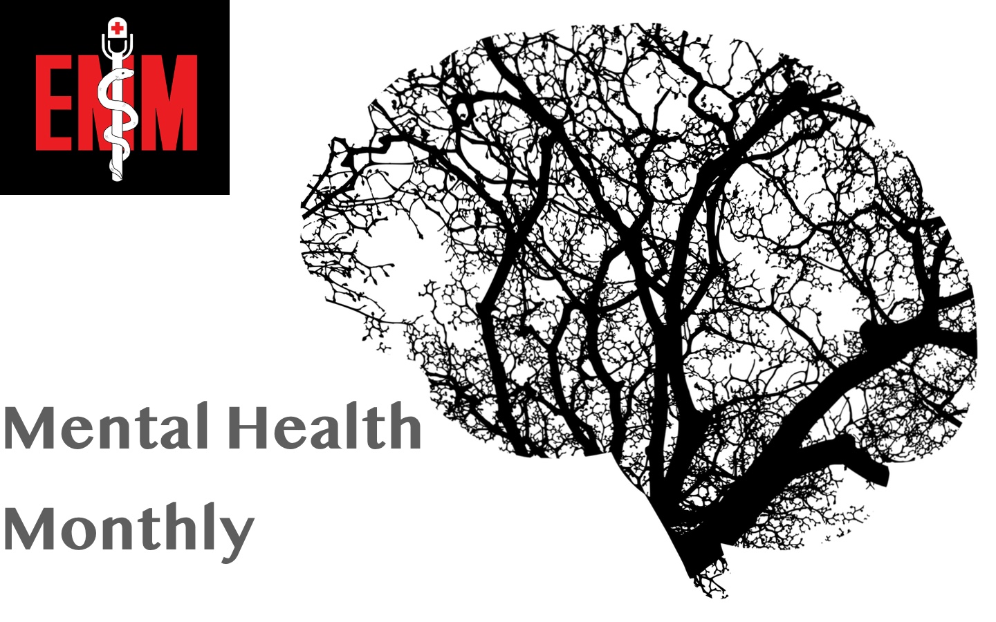 Mental Health Monthly #3: Maintaining Mental Health and Wellness for Healthcare Professionals