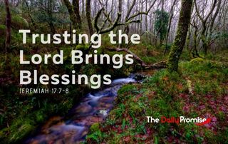 Trusting the Lord Brings Blessings