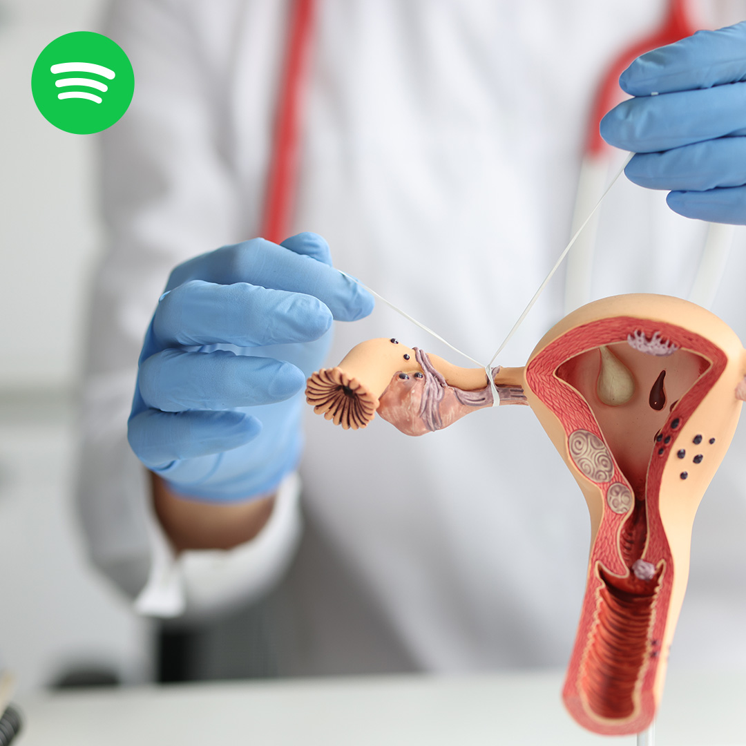 Wunschbaby Podcast