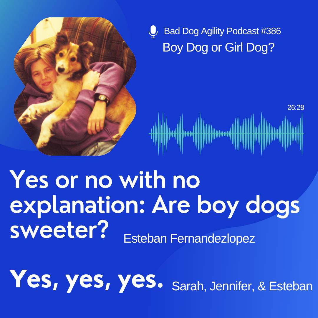 386: Boy Dog or Girl Dog?