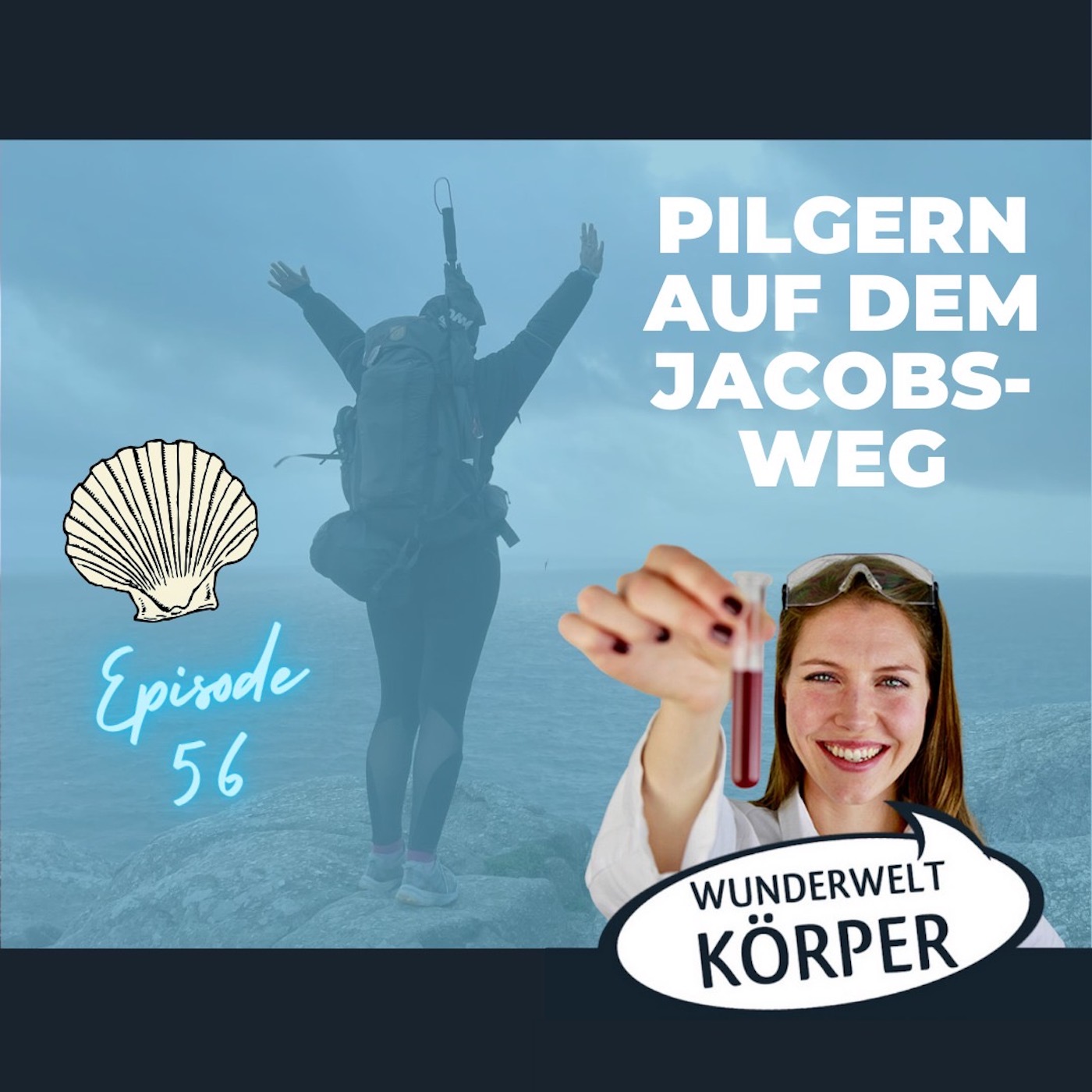 Wunderwelt Körper