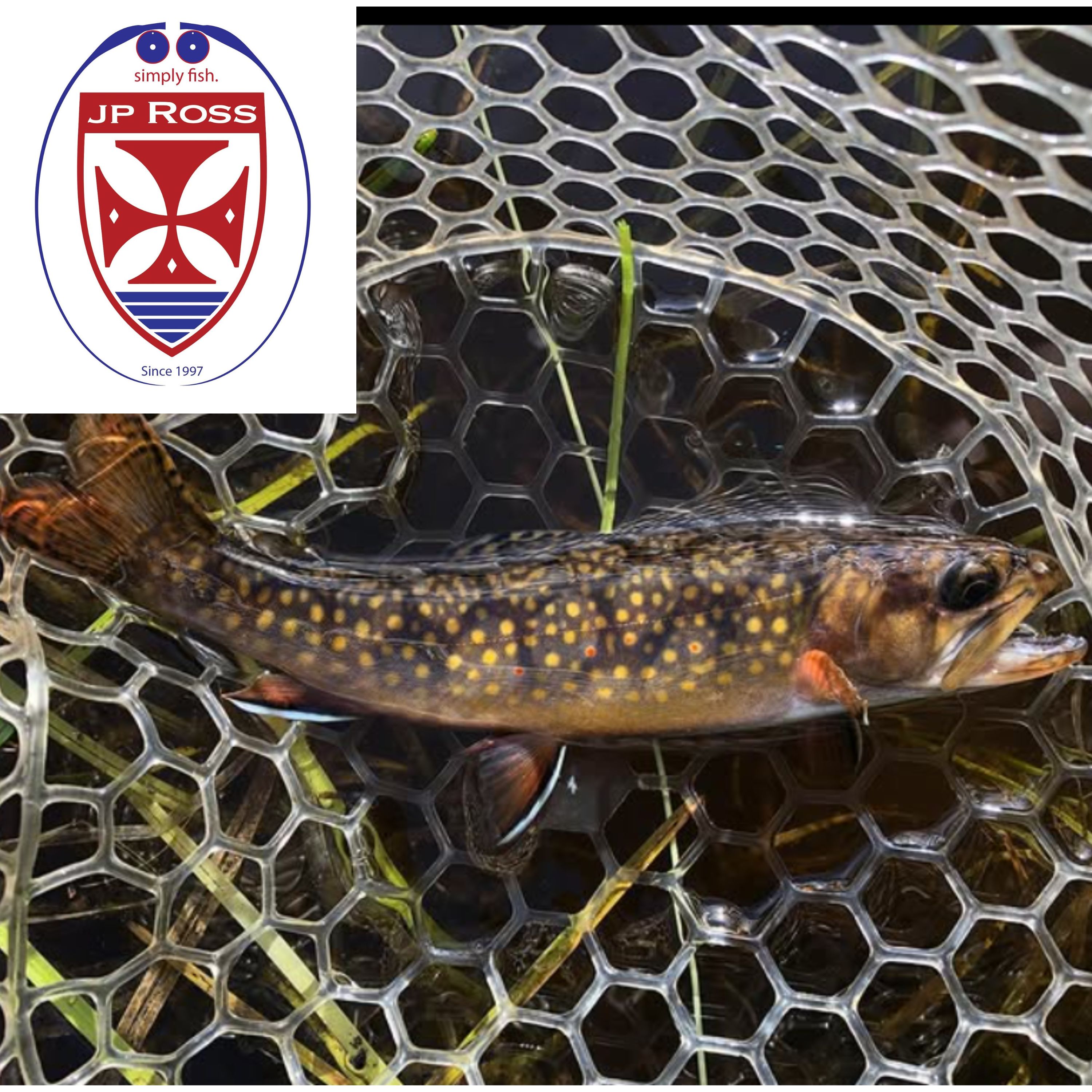 Off the Hook with MattyD