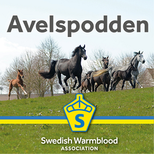 SWB Podden