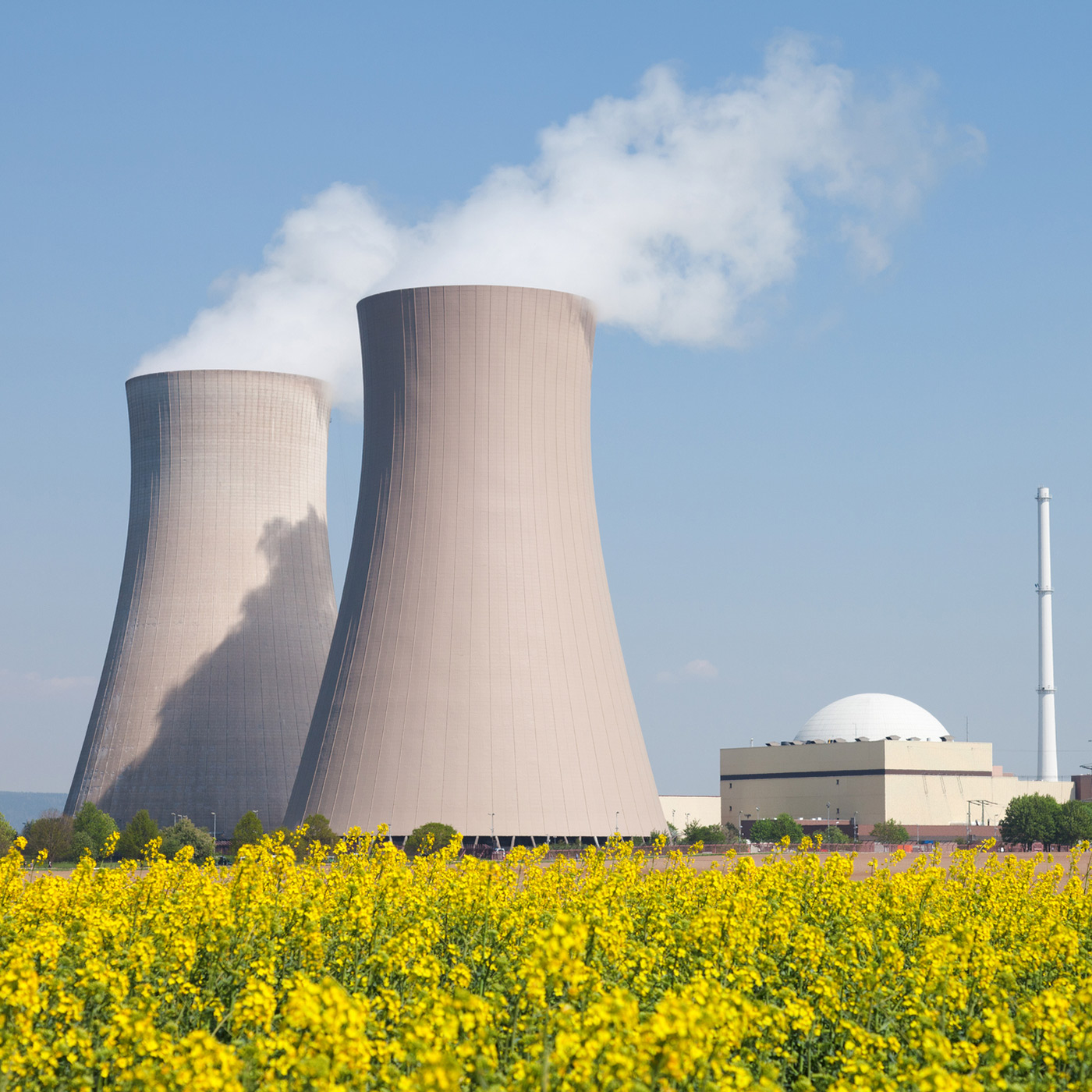 cover of episode What the gas and nuclear debate around the EU taxonomy means for investors