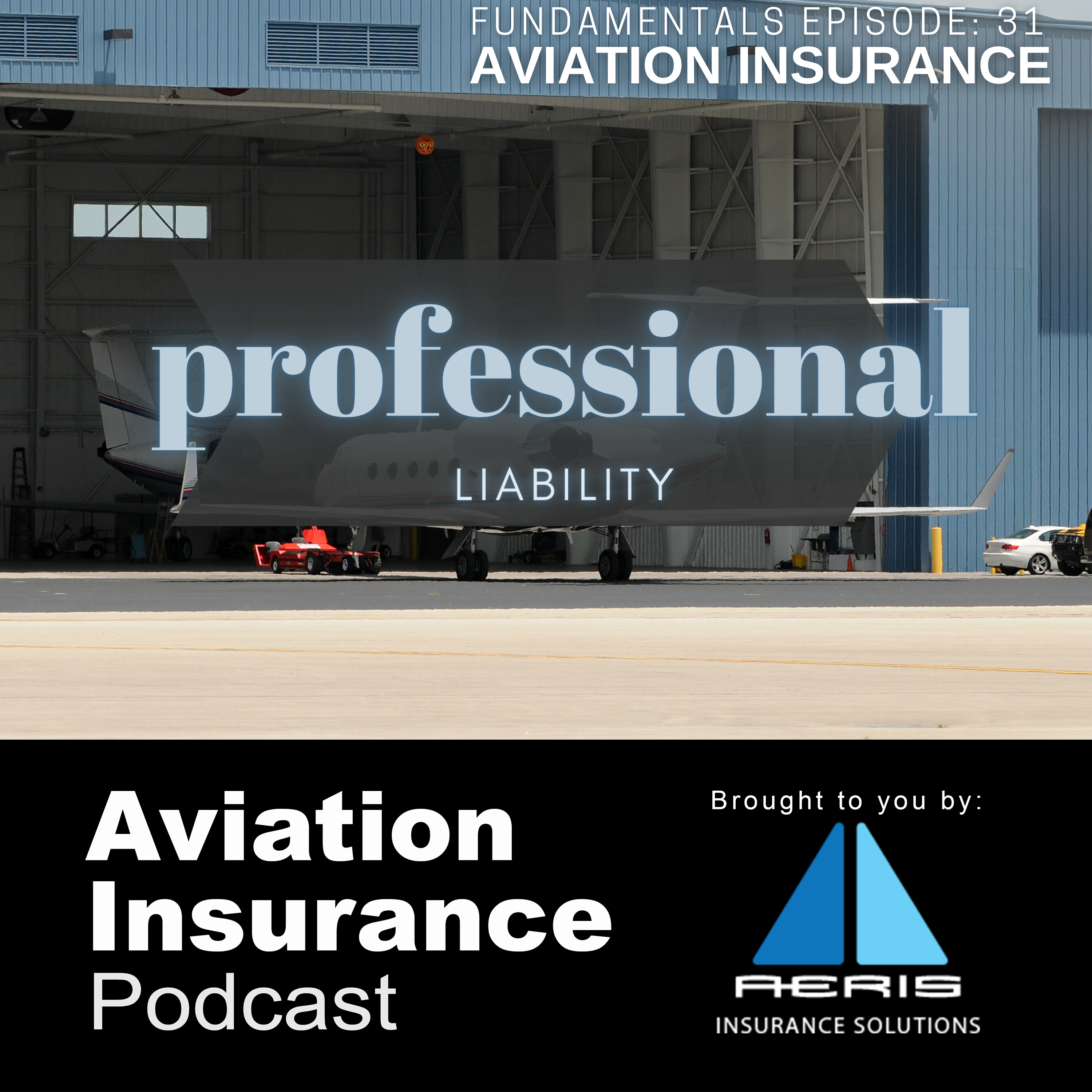 Episode 31: Professional Liability