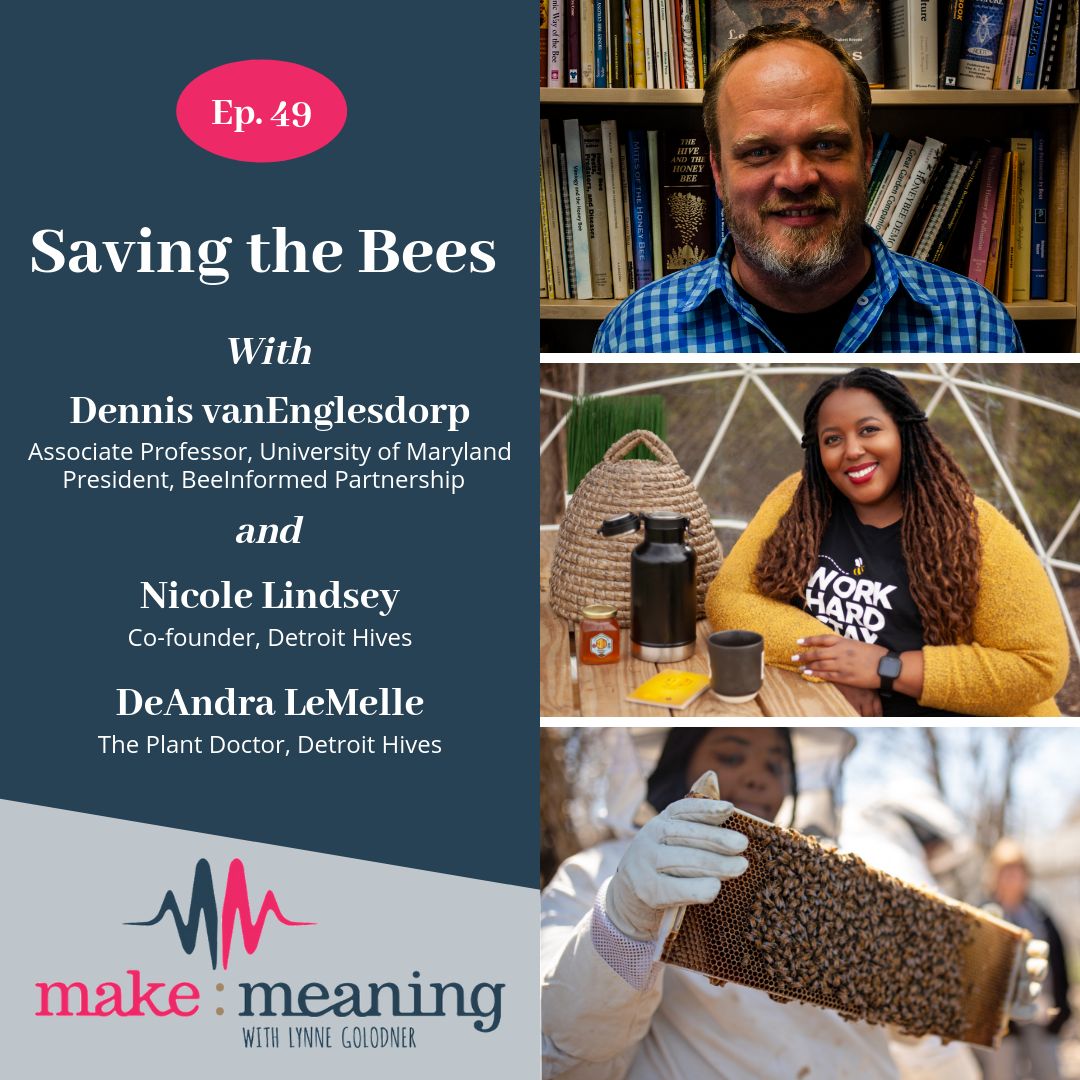 Episode 49 - Saving The Bees