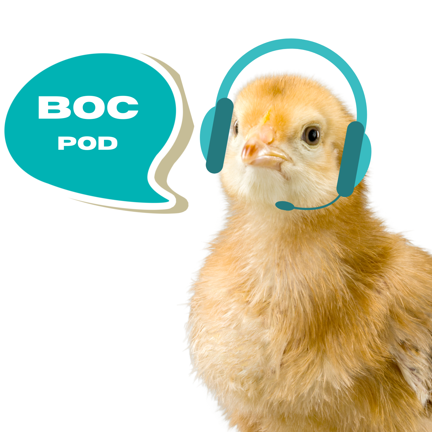 Binge O\'Clock Podcast