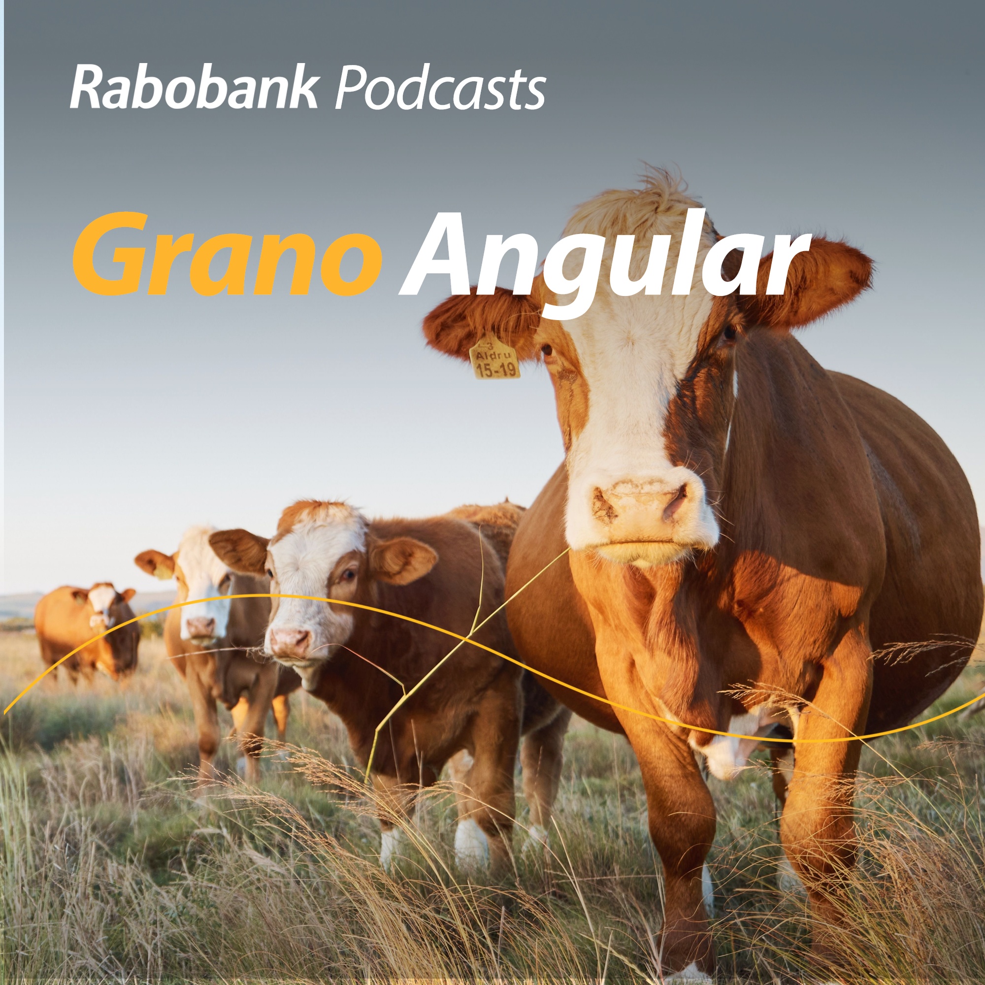 Grano Angular: Podcast de agroanálisis