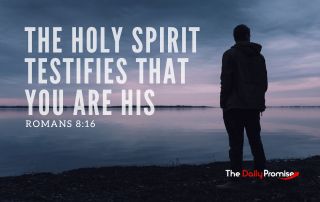 The Holy Spirit Testifies that You are His